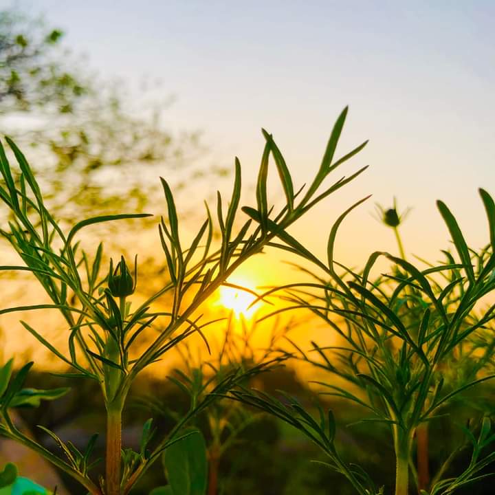 Beautiful Bangladesh 🇧🇩