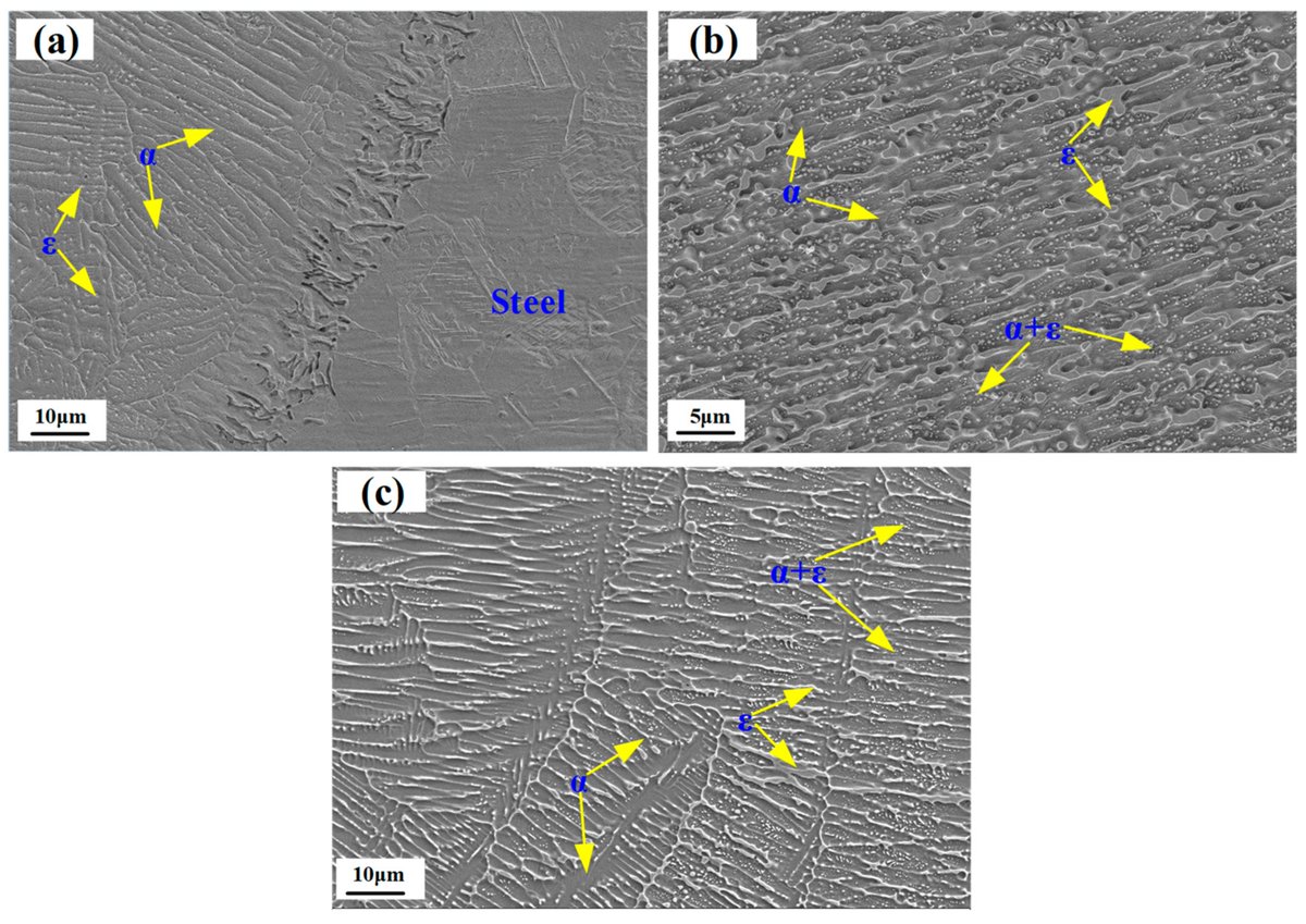 Metals_MDPI's tweet image. #mdpimetals

💥Feature paper sharing: 

📔 Title: Formation Mechanism and Control of #Solidification #Cracking in #Laser-#Welded #Joints of #Steel/ #Copper #Dissimilar Metals

📌The full-text paper can be viewed and downloaded free of charge at: lnkd.in/gsavM6uf