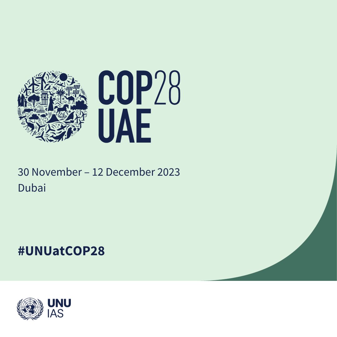 UNUIAS's tweet image. #COP28 starts today in Dubai 🇦🇪

@UNUIAS will be there discussing #ClimateDisplacement, #JustTransition, #NatureBasedSolutions, #ClimateEducation and more.

Check our event schedule and expert insights 👉 buff.ly/3T1NrGA

#UNUatCOP28  #COP28UAE