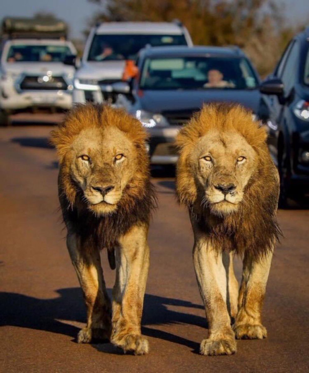 TheTracStar (Wes) tweet media