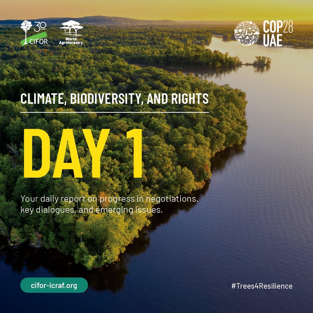 The first edition of our #COP28 daily bulletin is here! For day 1️⃣, we're providing context on recent developments surrounding #climate, #biodiversity, and rights, including pre-COP negotiations regarding Article 6. Read & subscribe 👉 bit.ly/3t5WQ5j #Trees4Resilience