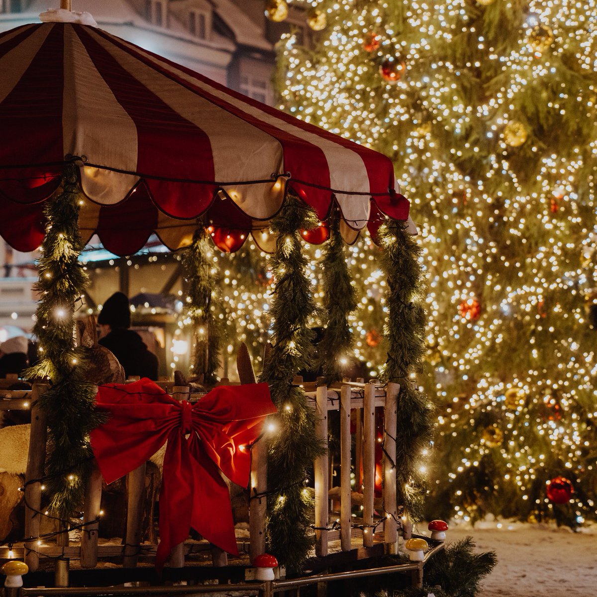 airBaltic's tweet photo. This year Riga has been spotlighted as one of the top spots to soak in that ✨magical Christmas market feeling✨, according to European Best Destinations.
Mark your calendars - Riga's Christmas Market opens its doors on December 3! Every corner there holds the promise of wonderful holiday memories.
🎄Find your flights here: https://t.co/94F1cb6QCI