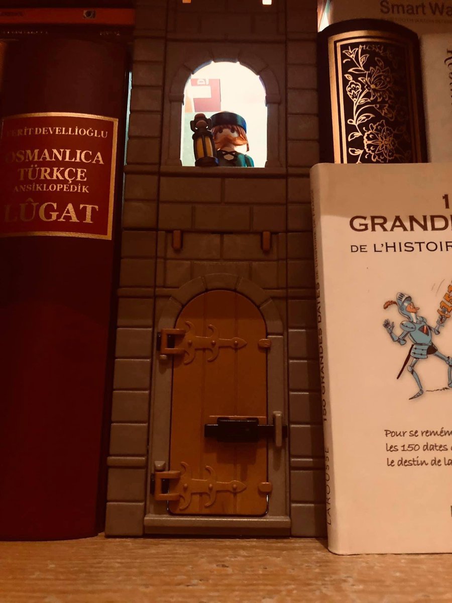 Le gardien des livres… 🕯️📚

#playmobilworld #playmobilespaña #playmobilhistory #playmobilmedieval #medieval