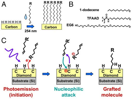 Biosensors_MDPI's tweet photo. #Review
Substrate Materials for Biomolecular Immobilization within #Electrochemical #Biosensors by Ian Ivar Suni
https://t.co/w10V34yaJv
@MDPIOpenAccess @SIUC
#electrochemistry #immobilization #protein #deoxyribonucleicacid #enzyme #aptamer #antibody #amperometry #openaccess https://t.co/aSO69MpyCu