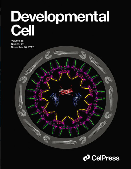 Very happy that miniBAR made the Cover! Congrats to all authors from the Echard Lab <a href="/TMDCLab_Pasteur/">Echard Lab, Pasteur Institute, Paris</a>, Houdusse Lab <a href="/institut_curie/">Institut Curie</a> and David Lab <a href="/Polytechnique/">École polytechnique</a>

#RabGTPases #RhoGTPases #actin #myosin #membranetraffic #ciliopathies #zebrafish

cell.com/issue/S1534-58…
