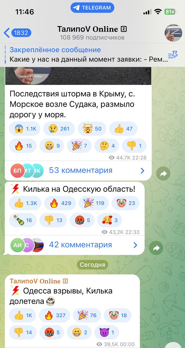 Alipat Sultanbegova tweet media