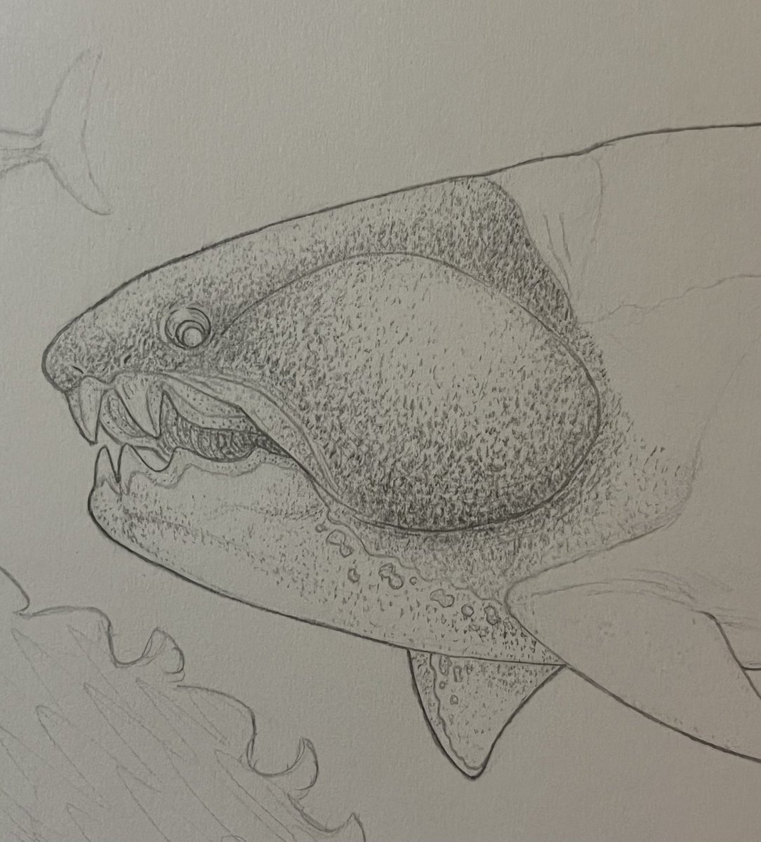 amfibifish's tweet photo. Dunkleosteus moment https://t.co/KS8sFSfiFA