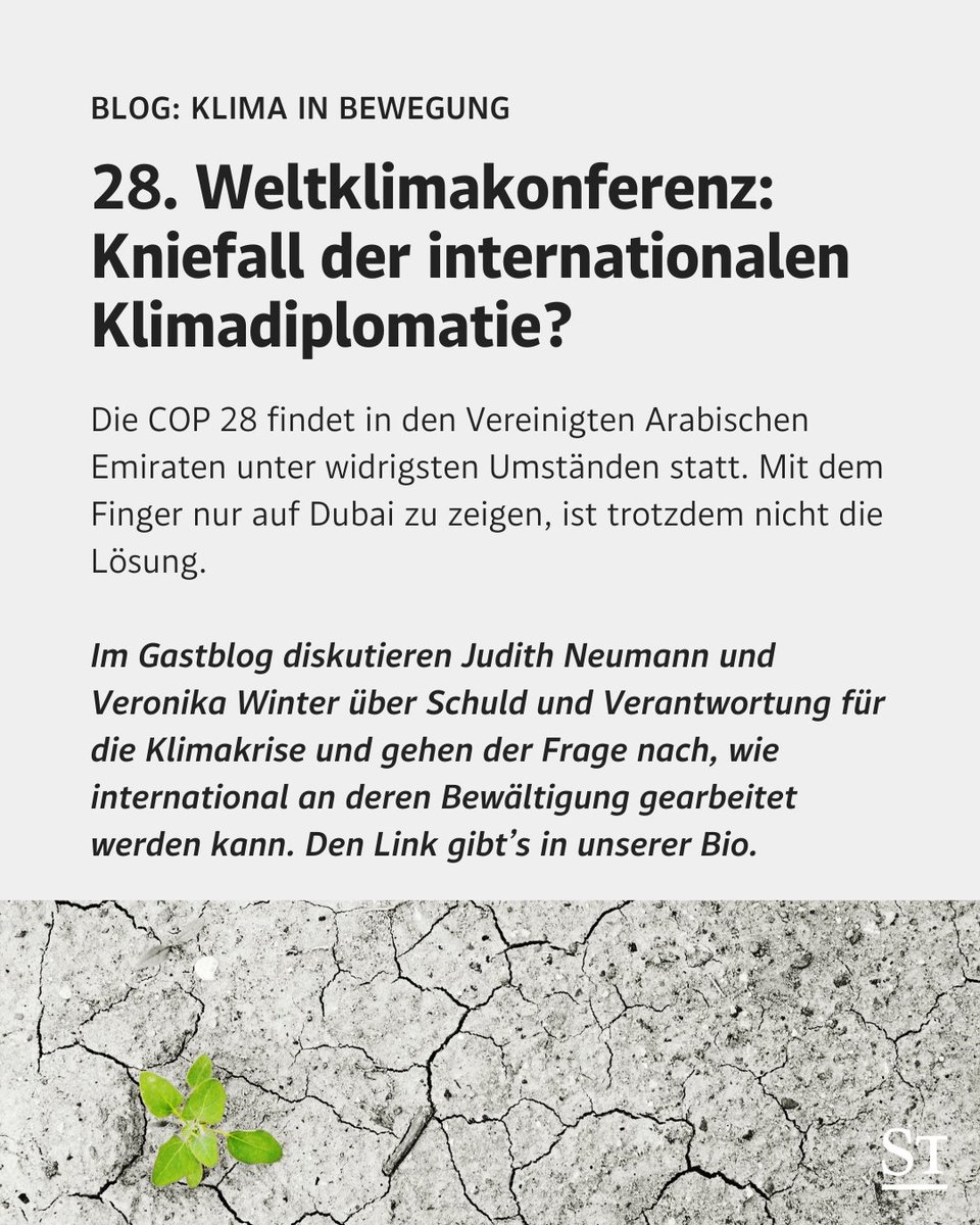 DER STANDARD tweet media