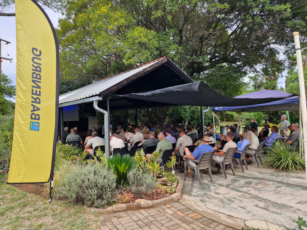 BarenbrugSA's tweet photo. Terugflits op 'n baie suksesvolle aangeplante weidings dag in Limpopo. Gesonde weiding🌾, gesonde groei🌱, gesonde diere🐂 – is dit nie wat ons almal wil hê nie🤷♂️ #Intelact #AfricaLandUseTraining #vravirdiegeelsak https://t.co/seFm2WPedn