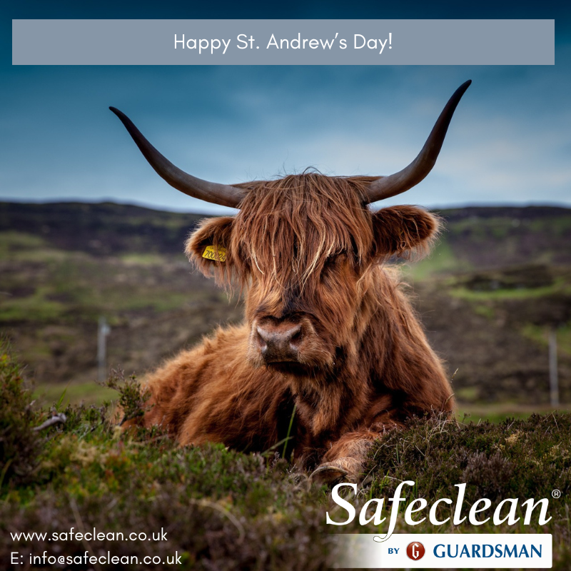 Safeclean_UK's tweet photo. We wish all of our Scottish customers a very Happy St Andrew's Day #Safeclean #Safecleanbyguardsman #Upholstery #Stainremoval #Stain #Clean #Furniture #Sofa #Carpetcleaning #Mattress #Deodorisation https://t.co/TRe6nsIIzX