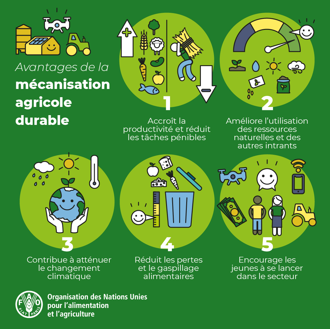 La mécanisation agricole durable a la capacité de transformer les moyens de subsistance ruraux et les systèmes agroalimentaires. 5⃣ plus de raisons d'investir dans la #MécanisationAgricole👇. #InnovationAgricole