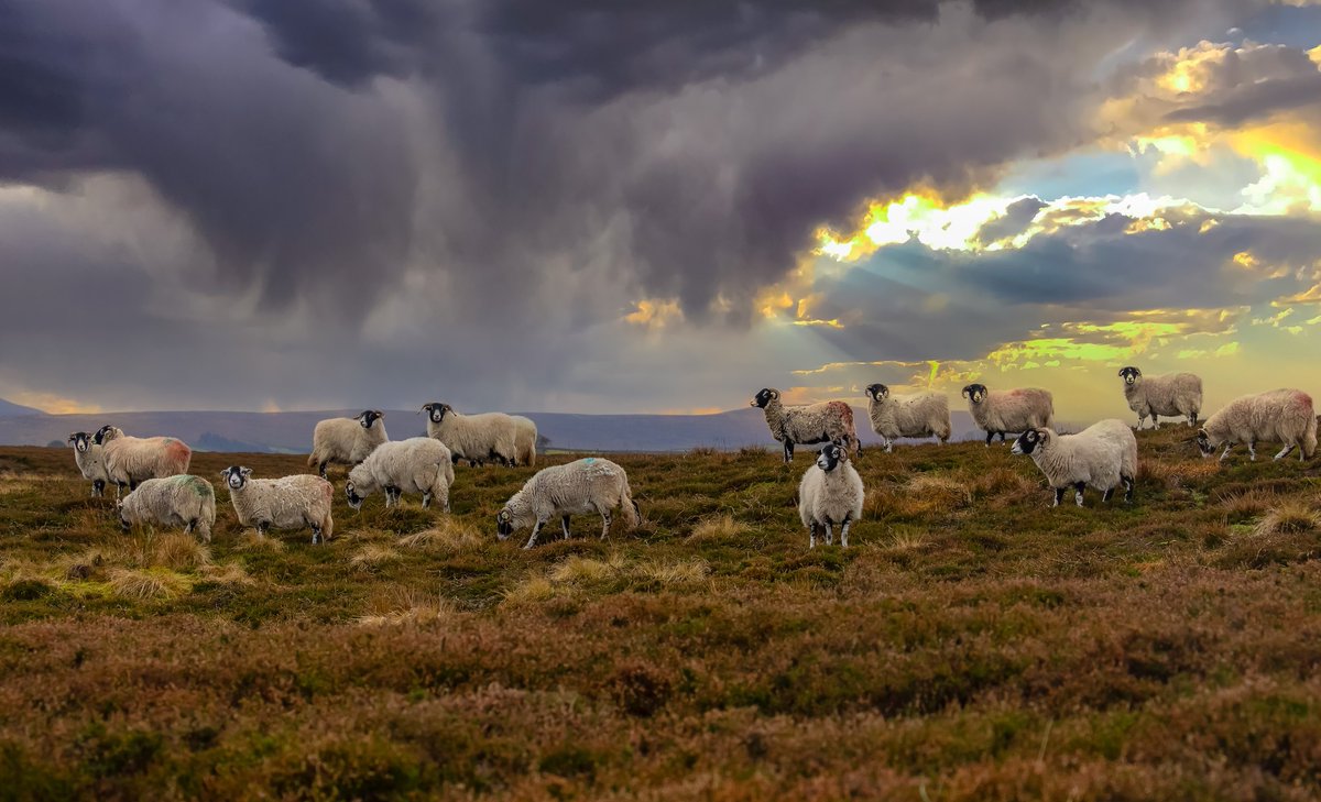 YAccountancy's tweet image. Our winter 2023 tax briefing looks at the headlines from the Autumn Statement and also covers changes to the DIY House builders scheme and other topical items.yorkshiredalesaccountancy.co.uk/noticeboard/wi…