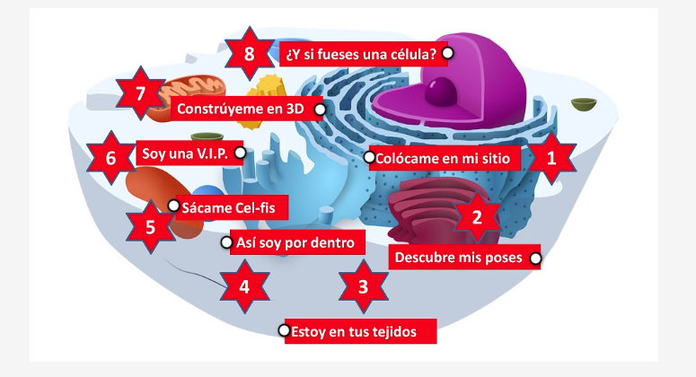 CeDeC_intef's tweet photo. 🔬🧪 "Celulamanía": #REA para Biología y Geología en 3º de ESO. Proyecto adaptado al currículo LOMLOE con enfoque STEAM y gamificación. La célula se convierte en un juego cooperativo con pruebas, puntos, y un "Celulómetro". #proyectoEDIA #cooperativo
👉 https://t.co/TRMdnXlEoS https://t.co/9tqcR0T9mq