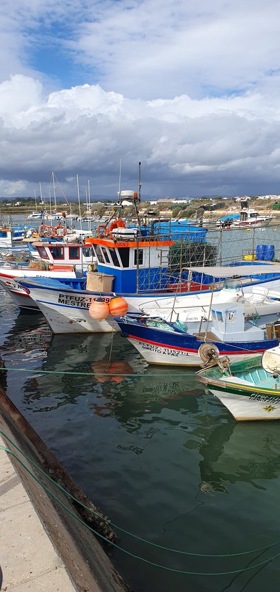 hardgraft_uk's tweet image. Reduce, reuse, recycle: Small actions count! 🌍 Cut down on single-use items, repurpose what you can, and embrace recycling habits. Every effort adds up! #SaveTheEnvironment #SustainableLiving #Christmas