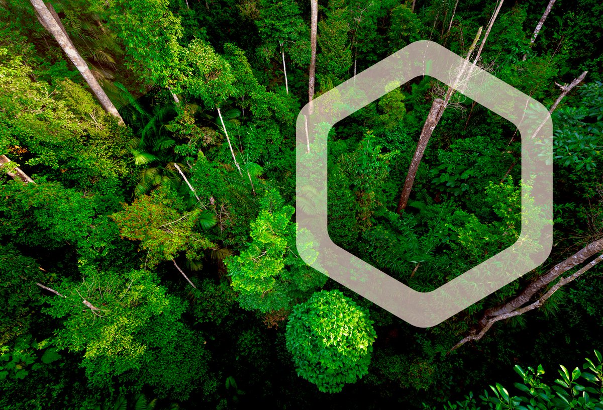 GV Health - Life.Protected. tweet media