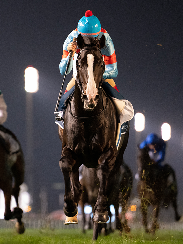 🇯🇵 Equinox, the world's best horse who eclipsed his rivals in
