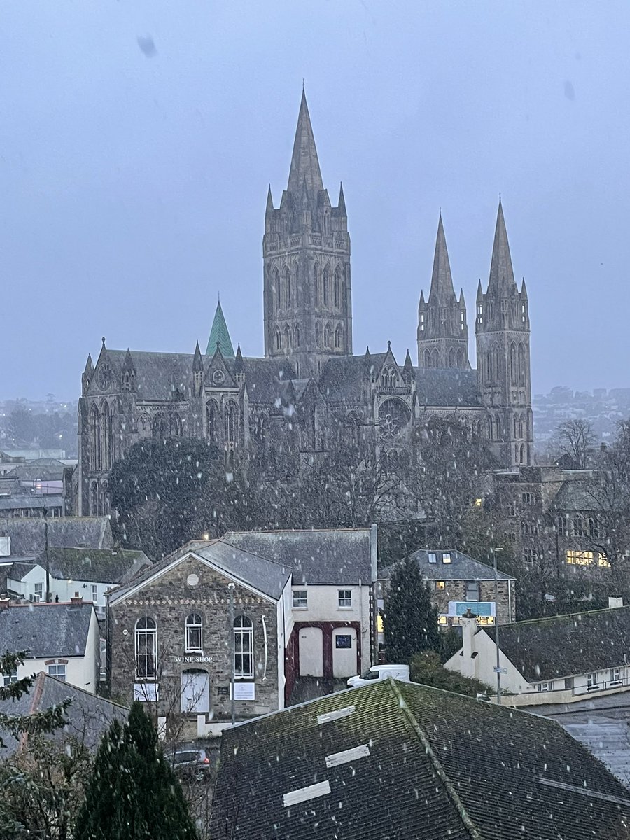 Esme Page tweet media