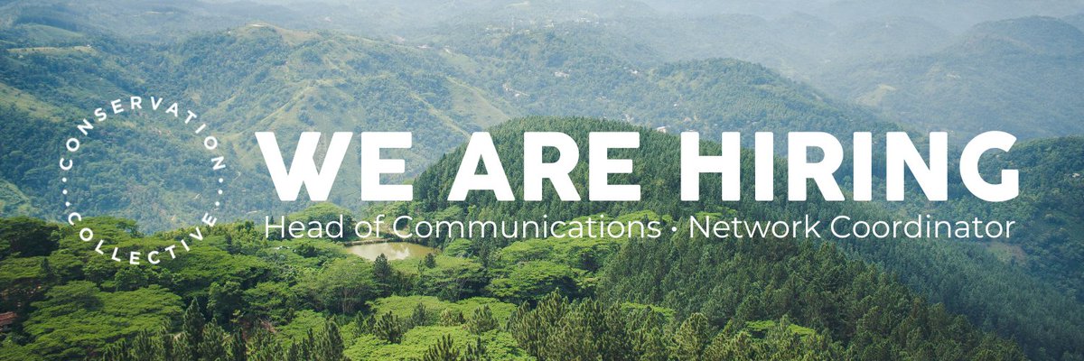 🌏 Are you passionate about #conservation #environment #climatechange? We're hiring! 🌱 Head of #Communications 👉 conservation-collective.org/we-are-hiring-… #NetworkCoordinator 👉 conservation-collective.org/we-are-hiring-…