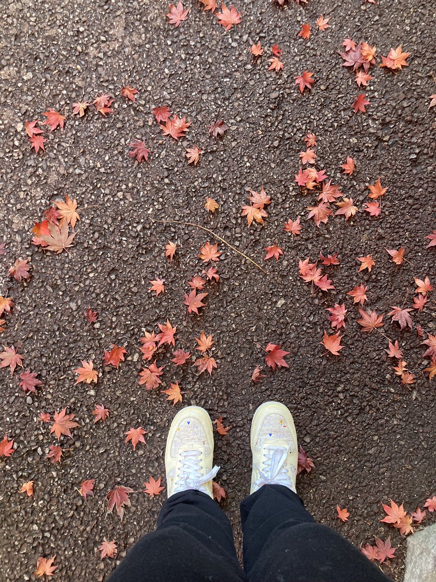 anamgroa's tweet photo. 오랜만에…My first sem of Korean language training is finally done. Level 1 was fun but taking exams again after a long time was nerve-racking. Enjoying the downtime before winter sem begins two weeks from now. Anyway, sharing here some photos of our campus during the fall season https://t.co/cRMMyZD8XC