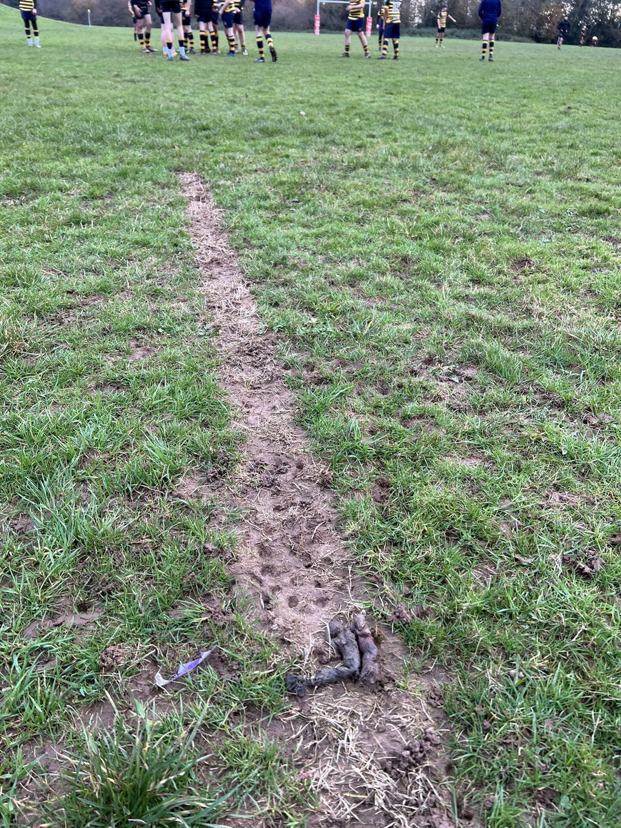Really disappointing to have Dog Poo on the field again yesterday before the game!! 

When are people going to understand that you can’t walk your dog on a Marked School Rugby Field!!! 

So lazy and inconsiderate again!! 
<a href="/CaerphillyCBC/">CaerphillyCBC</a> | <a href="/RiscaTC/">Risca Town Council</a> 

#KeepPawsOffPitches 🚫💩🏉
