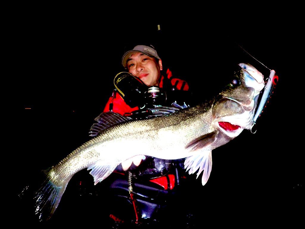 【FIELD REPORT】
プロスタッフ前田泰久さんより新製品【エクセルシオール プログレッシオSW】でのシーバスの釣果が届いております。

今回のエクセルシオールは視認性抜群のホワイトを採用！
ナイトゲームにも最適✨
スムーズな仕上がりで飛距離もUP!

ぜひお試し下さい！！

#ガウディス #gaudis