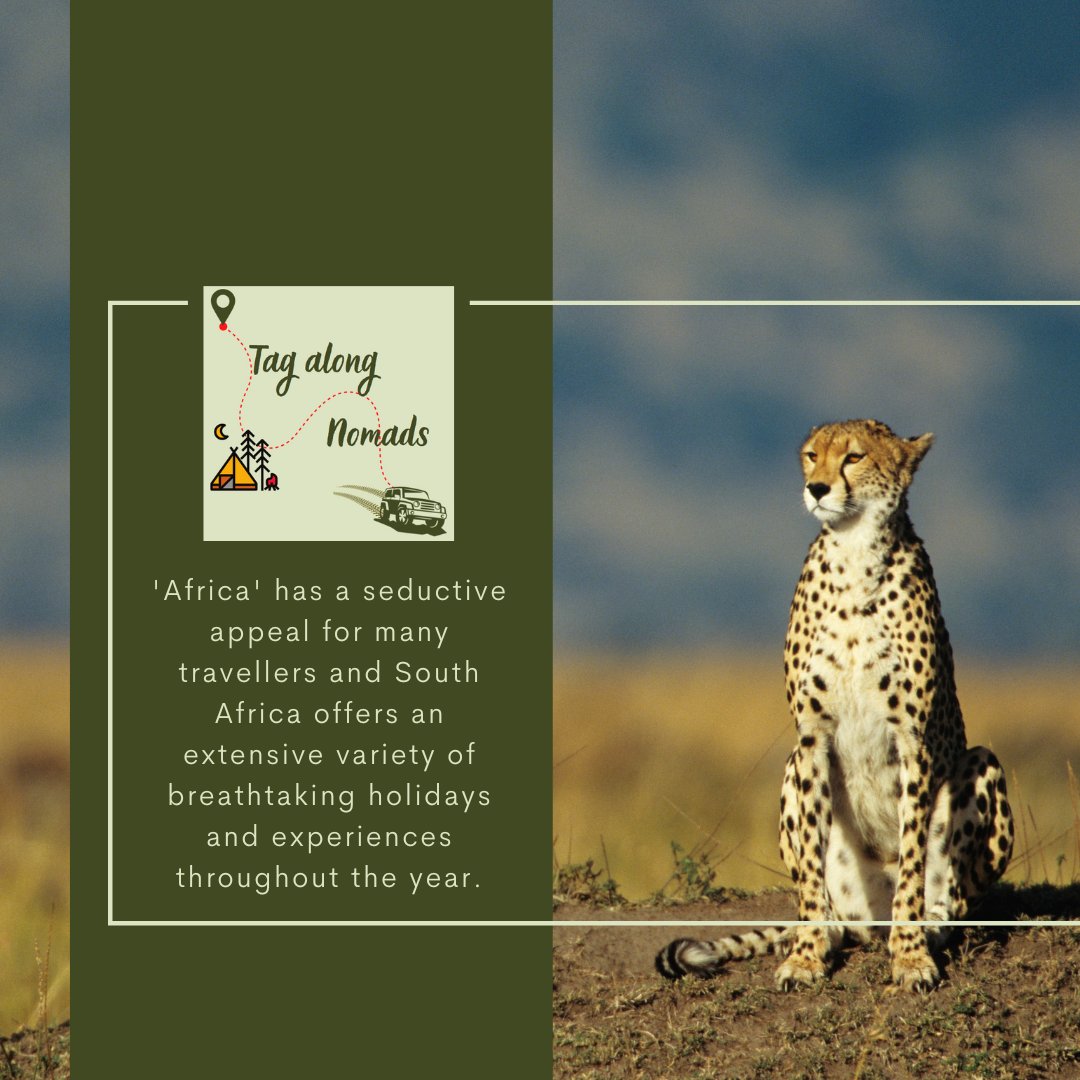 NomadsAlong's tweet photo. Why tour South Africa?

If you want beautiful beaches, incredible wildlife, stunning views and world-class food, then you are coming to the right place.
Let us compile the camping tour of your dreams.
#tagalongnomads #makingmemories #thursdaytourday #CustomDesign #camping https://t.co/L9T1eIK5F6