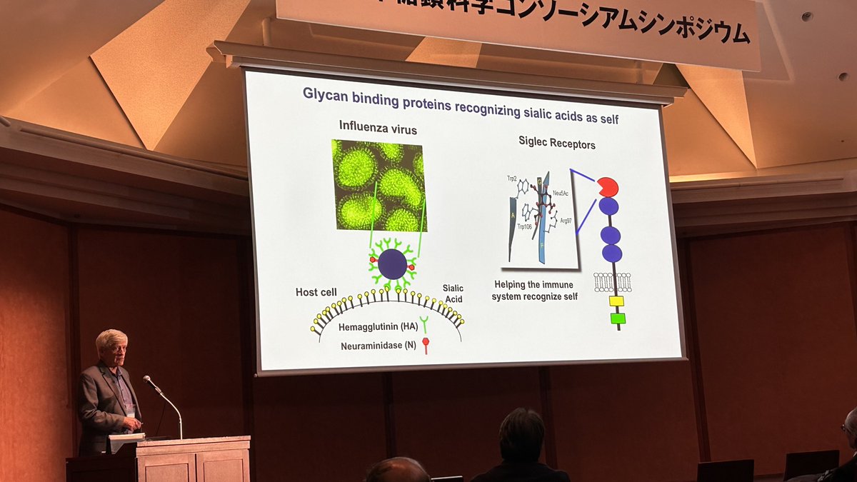 Iain Wilson 🏴🇦🇹 tweet media