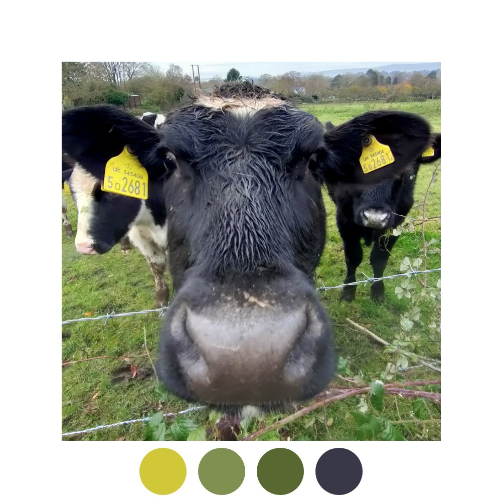 The neighbours paid me a visit.