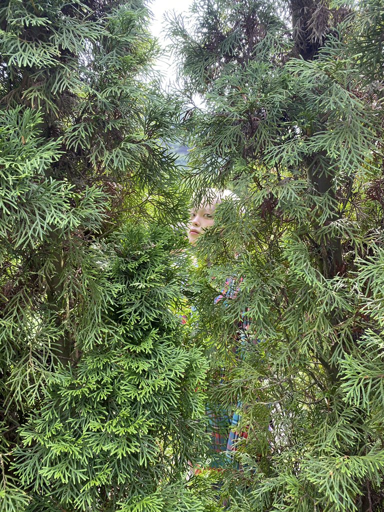 동글동글이형 생축🟢💕
#성민 #HAPPYHYEONGJUNDAY
#형준이의_동글한_탄생일