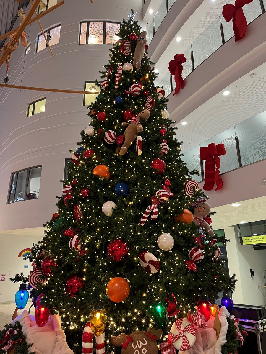 We're still flying high after yesterday's amazing light switch on! 🤩🎄 However, none of it would have been possible without the support and funding from the wonderful <a href="/AlderHeyCharity/">Alder Hey Children’s Charity</a>, <a href="/max20_Projects/">max20 Project Solutions</a> and <a href="/AxisEntrances/">Axis Automatic Entrance Systems Ltd</a>. A massive thank you to you all! 🙌 #ChristmasAtAlderHey