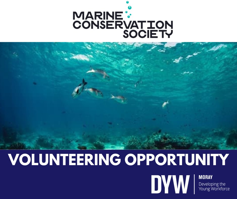 DYW Moray (@dywmoray) on Twitter photo 🐟VOLUNTEERING OPPORTUNITY🐟
Aged 13–25 & interested in becoming a voice for the environment? Why not become part of the UK-based Youth Ocean Network
No matter where you live or your experience, they want to hear from you!
Register your interest - katie.macfarlane@mcsuk.org 🐟VOLUNTEERING OPPORTUNITY🐟
Aged 13–25 & interested in becoming a voice for the environment? Why not become part of the UK-based Youth Ocean Network
No matter where you live or your experience, they want to hear from you!
Register your interest - katie.macfarlane@mcsuk.org