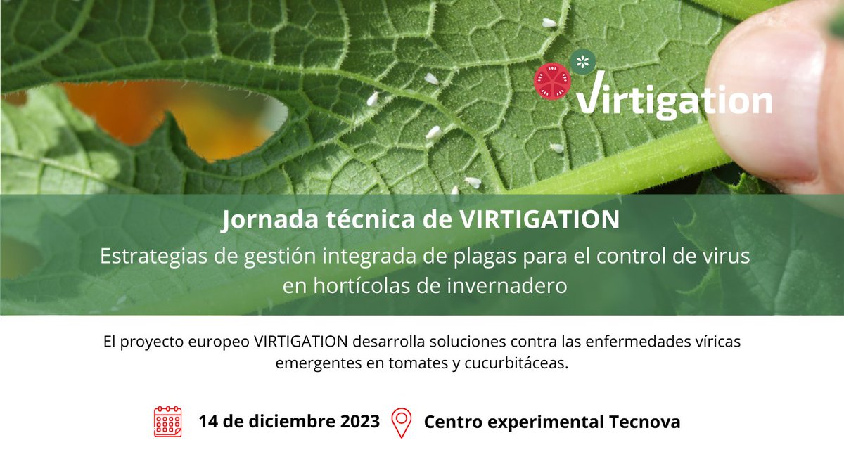 VIRTIGATION - save tomatoes & cucurbits from virus (@virtigation) on Twitter photo Save the Date: On 14 December, #VIRTIGATION partners <a href="/AgapaAndalucia/">Agencia de Gestión Agraria y Pesquera de Andalucía</a> & <a href="/CTTecnova/">CT Tecnova</a> will organise a #MultiActor workshop, which will provide 🇪🇸stakeholders w/ #IPM strategies on #PlantVirus control in #Greenhouses. More info & registration: virtigation.eu/virtigation-te… #H2020 #EUFunded Save the Date: On 14 December, #VIRTIGATION partners <a href="/AgapaAndalucia/">Agencia de Gestión Agraria y Pesquera de Andalucía</a> & <a href="/CTTecnova/">CT Tecnova</a> will organise a #MultiActor workshop, which will provide 🇪🇸stakeholders w/ #IPM strategies on #PlantVirus control in #Greenhouses. More info & registration: virtigation.eu/virtigation-te… #H2020 #EUFunded