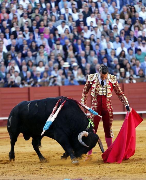 TaurinoItaliano's tweet photo. José María Manzanares recogerá en Italia el premio Opera Taurina que el Club Taurino Italiano le otorgará el proximo 17 diciembre como reconocimiento a su trayectoria en Figura del toreo.  
#Arte #Aficion #ToroSi 
@prensaJMM @TaurinoItaliano 
(foto Arjona) https://t.co/86Lnyxftfr