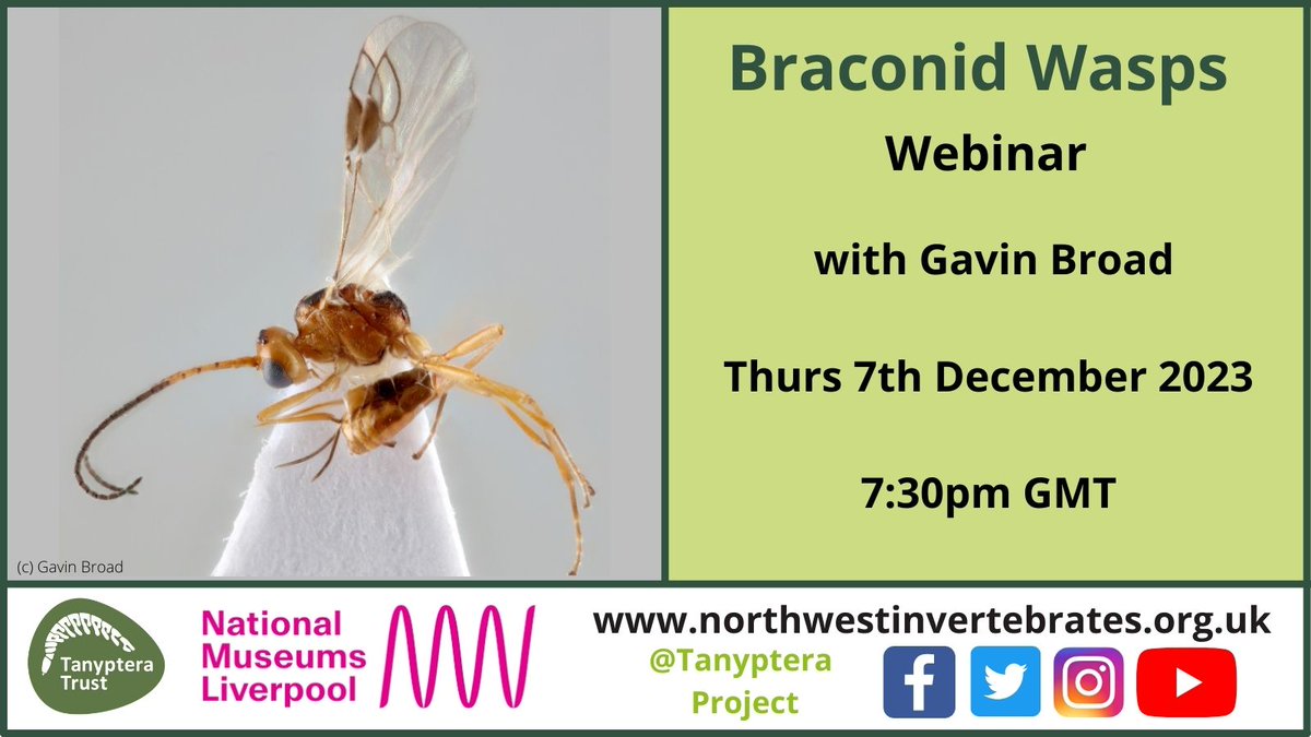 Join us for our last webinar of 2023! Braconid Wasps with @BroadGavin on 7th December, 7:30pm Book your place here: eventbrite.co.uk/e/braconid-was…