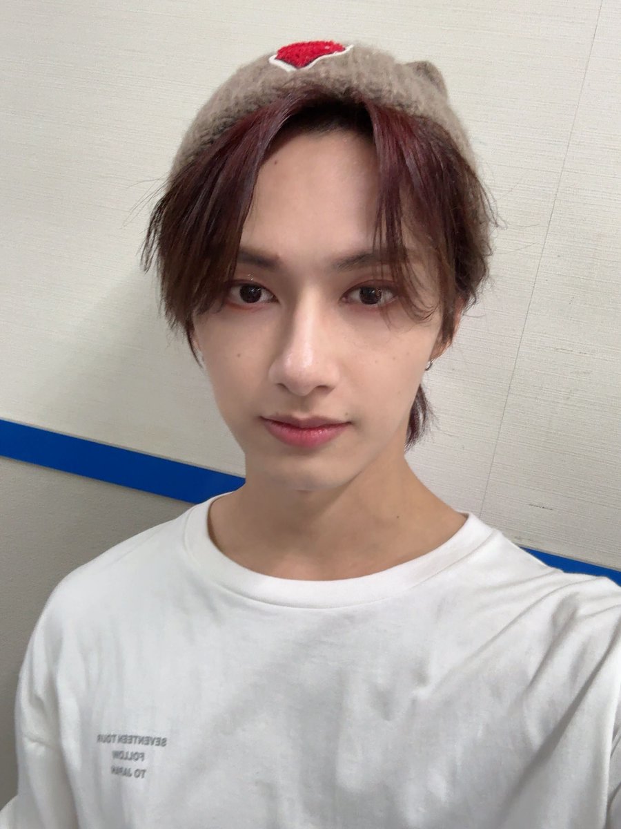 세븐틴(SEVENTEEN) tweet media
