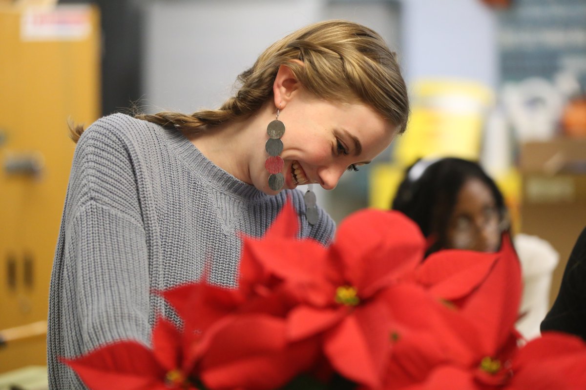 HanoverSchools's tweet photo. 'TIS THE SEASON! Horticulture students at our high schools are growing beautiful poinsettias this year and are selling them to help make our community's homes even more festive during this holiday season! Interested in purchasing one? Contact a high school for more information. https://t.co/L9MZSzTEN2