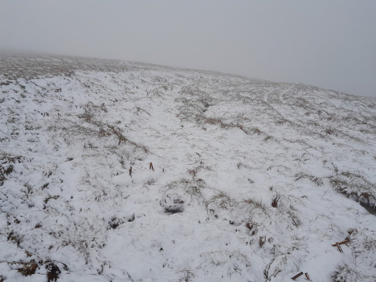 Yorkshire Peat Partnership - follow us on Bluesky tweet media