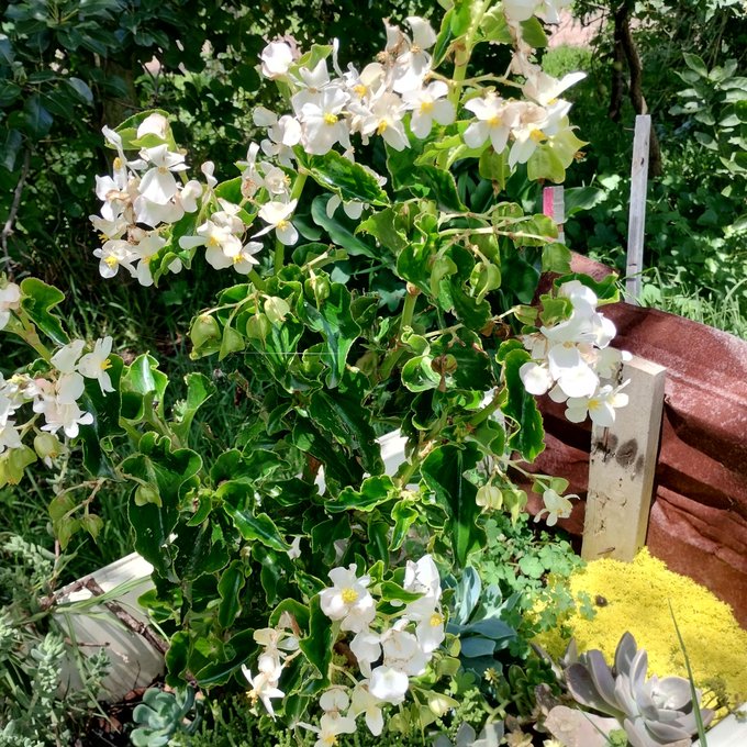 #NuevaFotoDePerfil https://t.co/4w6DQgaLmp<a href="/tag/nuevafotodeperfil"class="tags">#NuevaFotoDePerfil</a>