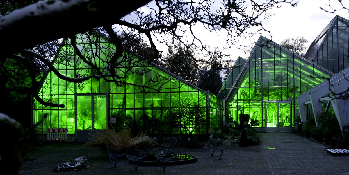 WolfgangStuppy's tweet image. Heute Abend findet im Botanischen Garten der #ruhrunibochum der erste "Budenzauber" statt. Stimmen Sie sich auf Weihnachten ein mit ein paar vorweihnachtlichen Leckereien und einem Spaziergang durch unsere beleuchteten Schauhäuser. Eintritt frei! boga.ruhr-uni-bochum.de/index.html.de