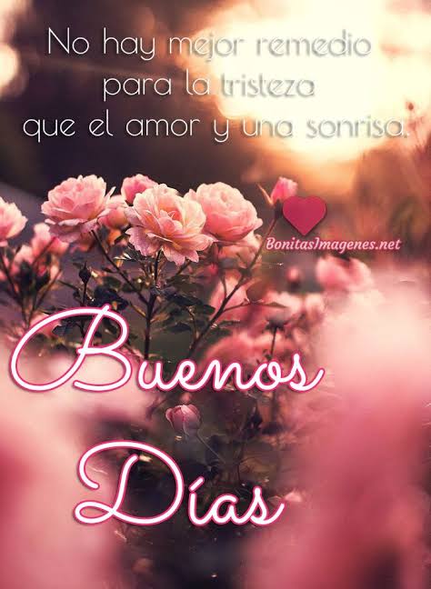 ZunPaty's tweet photo. Bendecida mañanita. https://t.co/d7jVRUwssS