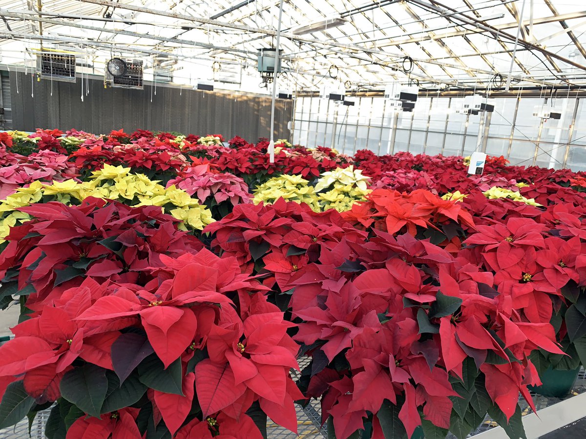 Ohio State ATI Greenhouse Program tweet media