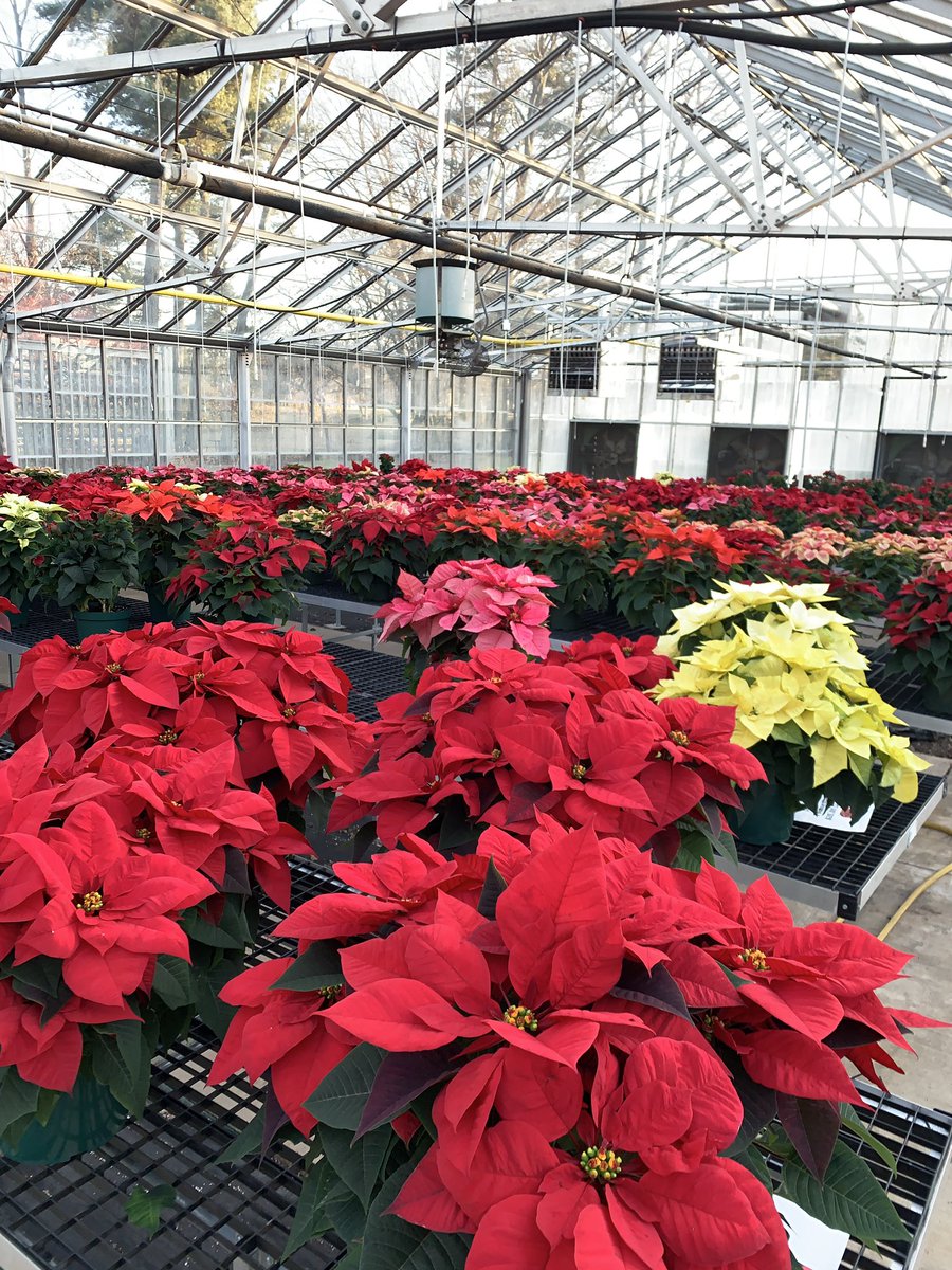 Ohio State ATI Greenhouse Program tweet media