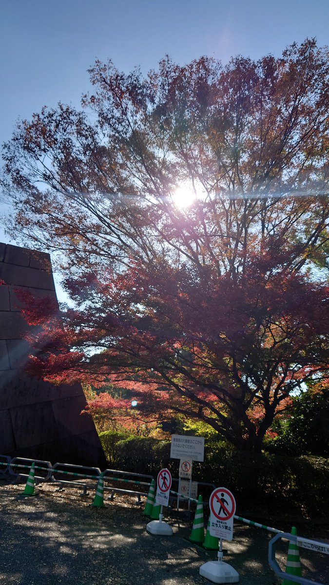 uho_rich's tweet photo. ちょっくら乾通りに行ってきたよ❗その後は大手町あたりをブラブラと。今日はいい天気だった❗ https://t.co/KTPUxYKvy2