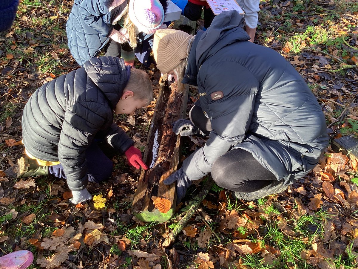 Dragonfly Class tweet media