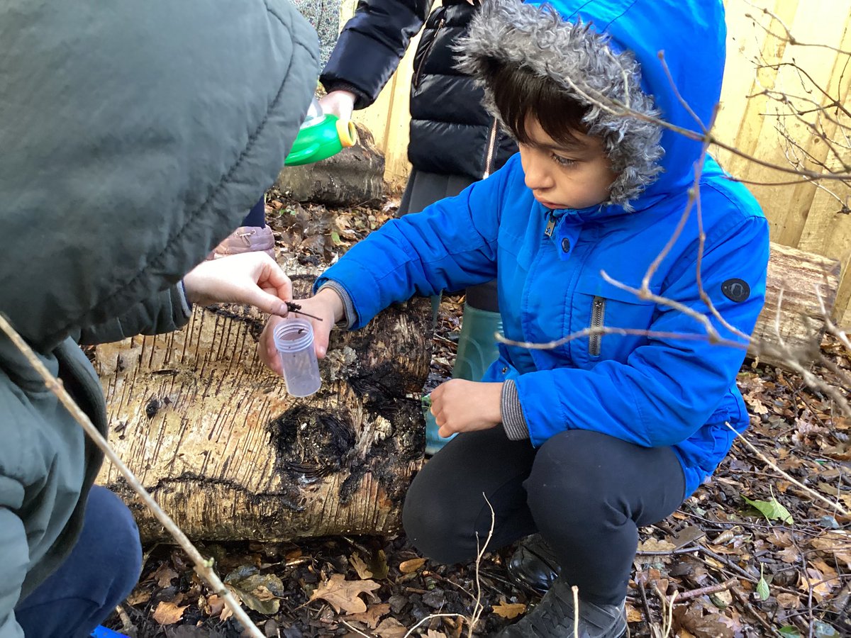 Dragonfly Class tweet media