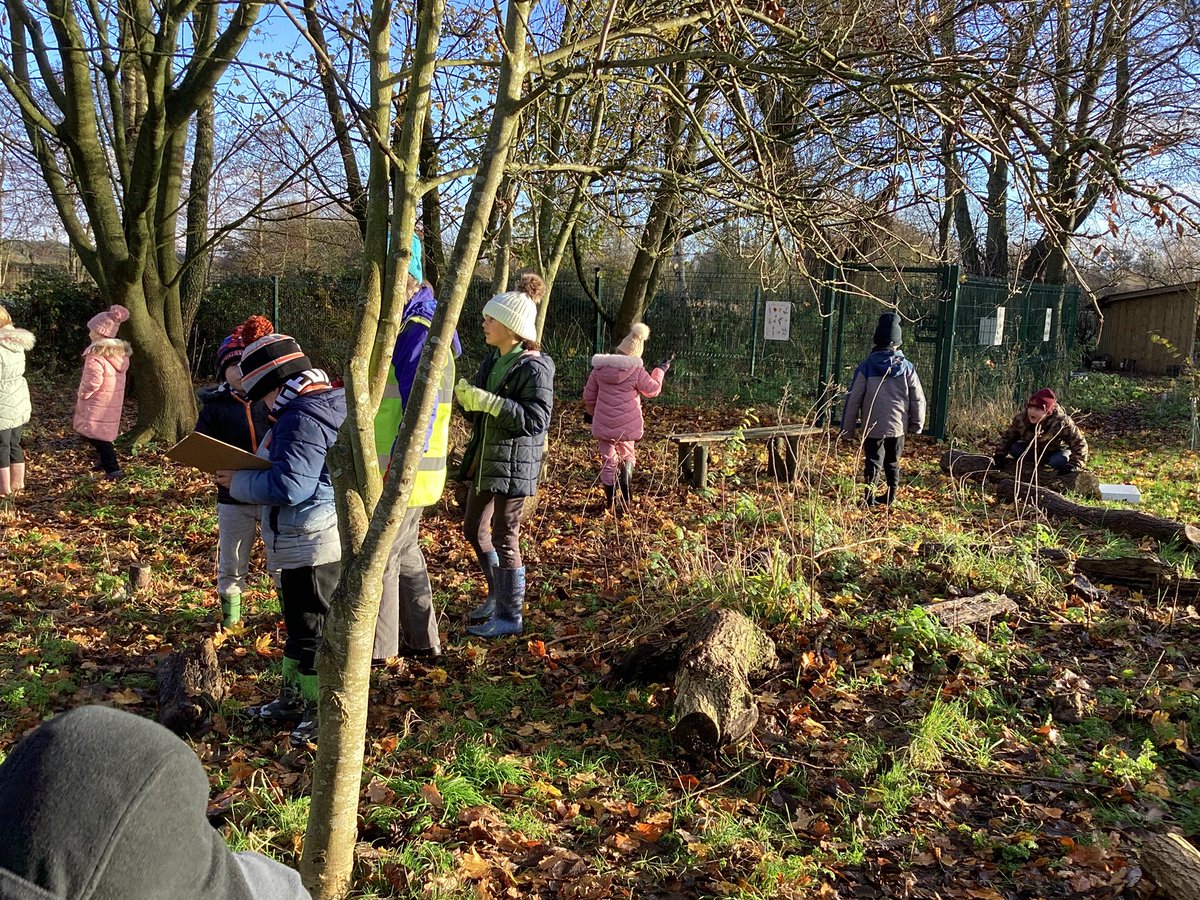 mps_dragonfly's tweet photo. Dragonflies have had a wonderful day today partaking in a wintery Nature Recovery Workshop. @LDV_NNR https://t.co/tErjSIbnPX