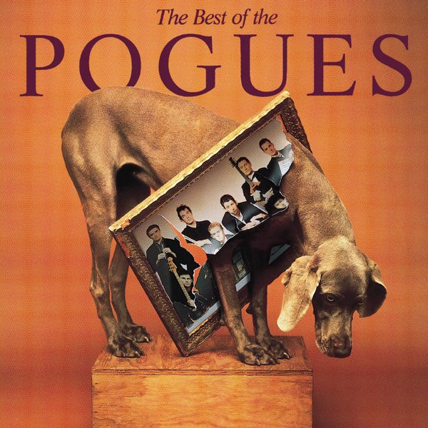 burgessct's tweet photo. #RIP #ShaneMacGowan #Pouges
"He soothed the souls of psychos and the men who had the horn" ~Sally Maclennane
https://t.co/dx7U1VqFO2
Gone too soon, 65 https://t.co/GKLLMoa0bq