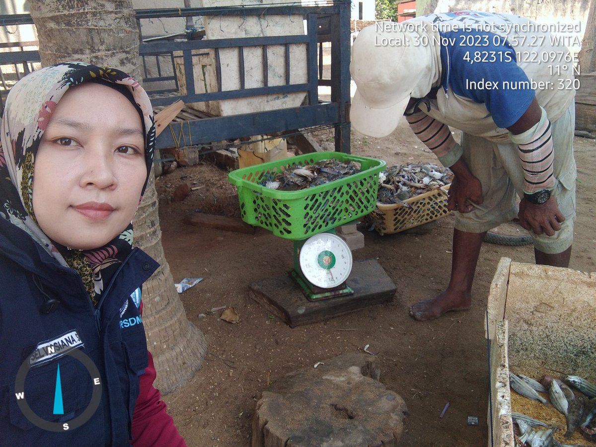 SaidSelvi's tweet photo. Kamis (30/11/23), Selvi Rosiana Said, PPB Kab.Bombana, KUB Rajungan, Ds.Batu Sempe Kec. Mata Oleo, Hasil tangkapan Rajungan, Alat Tangkap Bubu, 1 Trip 10 Kg, Harga Jual Rp. 45.000/Kg
#produksi 
#GiatLuhkanSatminkalMaros 
#luhlapor 
@luhkanbrpbap3 https://t.co/WIDQbHvTzR