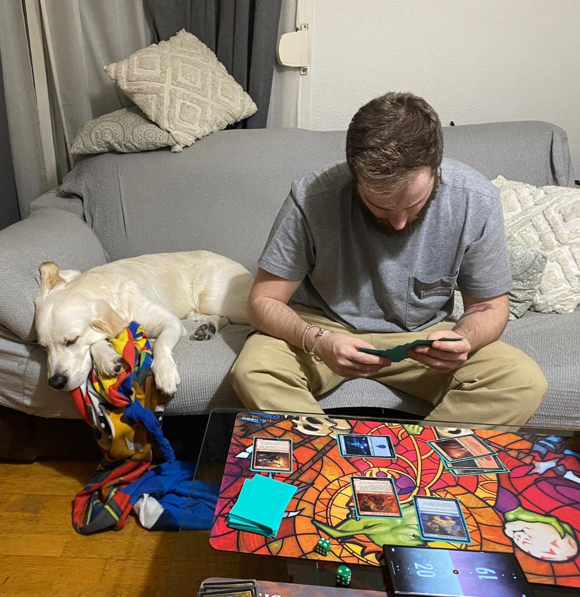 Hasta los perros desisten de ver misplays