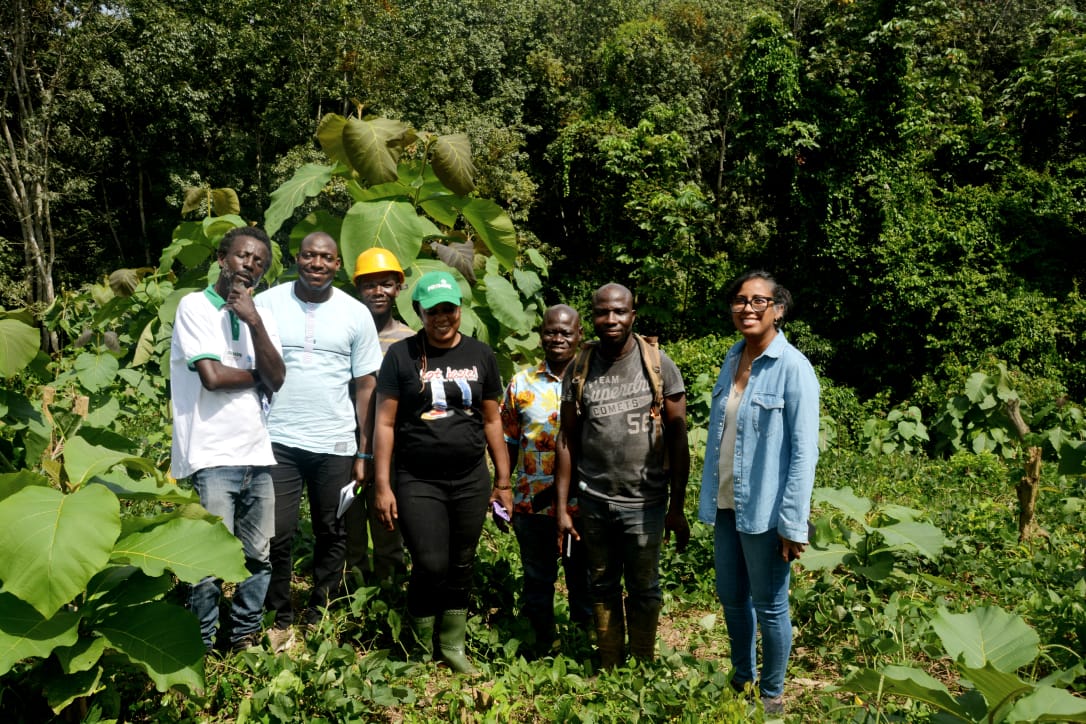 FAOCotedIvoire's tweet photo. Projet PROMIRE de la @Fao et du @Mineddci : visite de 3 parcelles de restauration forestière à Biéby dans la région de La Mé. Sur ces parcelles, sont associées aux arbres,  des cultures vivrières qui constituent des sources de revenus intermédiaires  pour les bénéficiaires. https://t.co/u7DCAvud5o
